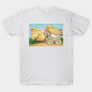 A Joyful Easter T-Shirt